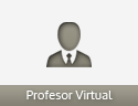 Profesor Virtual